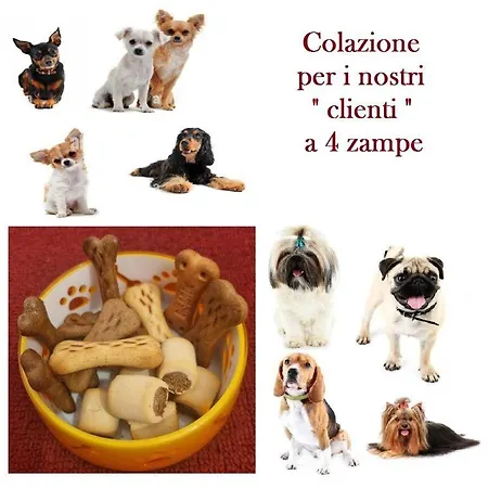 Daire La Casetta Di Oppi Napoli