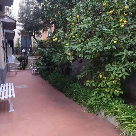 La Casetta Di Oppi Appartement